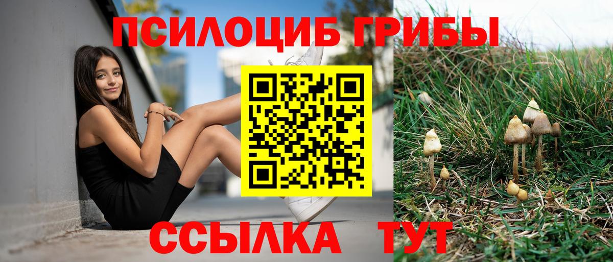 Жуковский  Галлюциногенные грибы MAGIC MUSHROOMS  Вход с VPN 